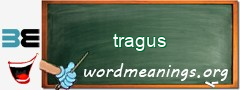 WordMeaning blackboard for tragus